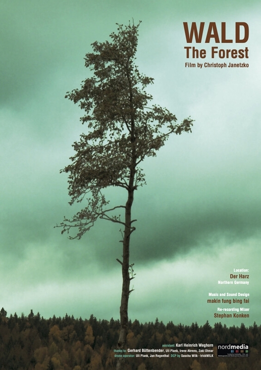 WALD the forest